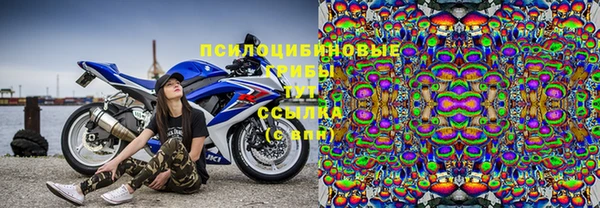Альфа ПВП Беломорск