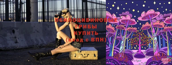 СК Баксан