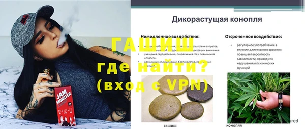 a pvp Белокуриха