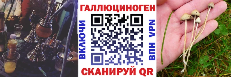 Псилоцибиновые грибы ЛСД цены наркотик Вельск